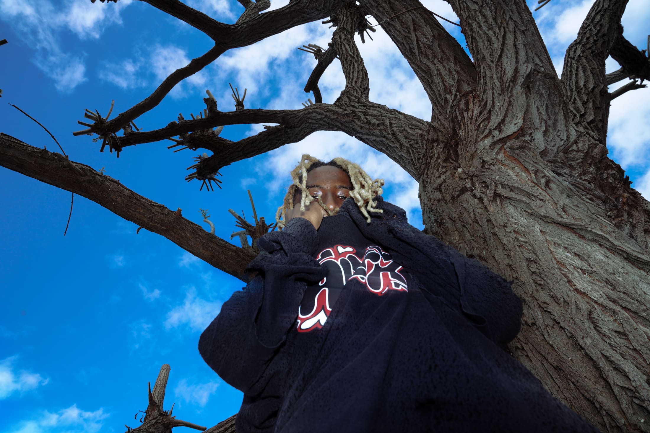 Spooky Tree2024 Oct