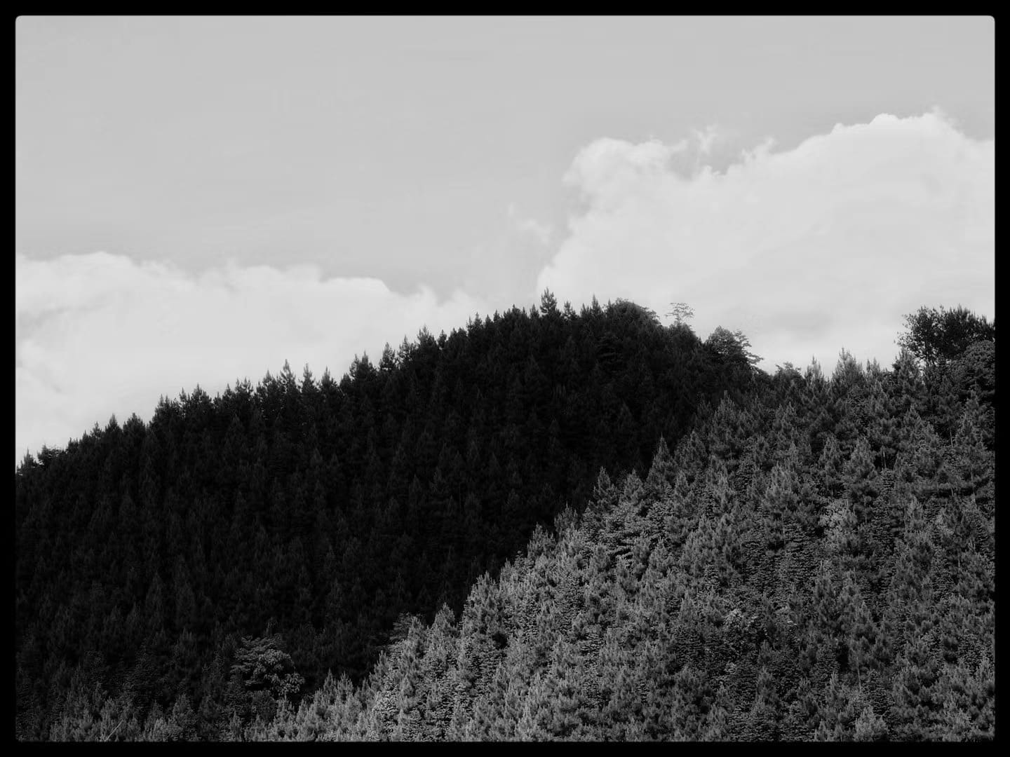 Street frame 58